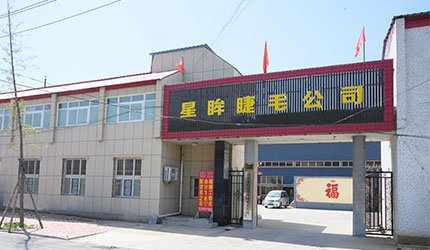 About our company's growth and mission in the eyelash industry